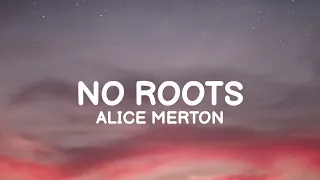 Alice Merton - No Roots (Lyrics)