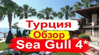 Отдых в Турции. Sea Gull 4* Обзор отеля