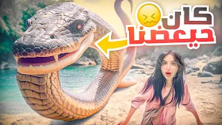 قررنا نعمل اول مغامره في رحلتنا | لقينا ثعبان في البحر 😱