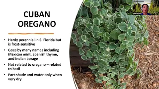 Edible Gardening: Herbs for Florida (webinar series)