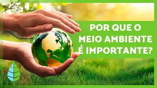 A IMPORTÂNCIA de CUIDAR do MEIO AMBIENTE 🌏🌿