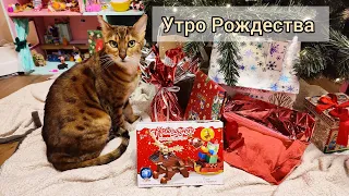 Подарки на Рождество🎉 Святой Николай приходил 🎅 2024г //ppDominika #детскийканал #новыйгод2024 #кот