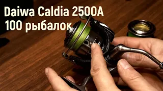 Daiwa Caldia 2500 A после 100 рыбалок. Стоит покупать или нет?