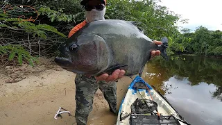 I DIDN'T EXPECT TO FIND THIS MONSTER HERE! Giant Piranha!