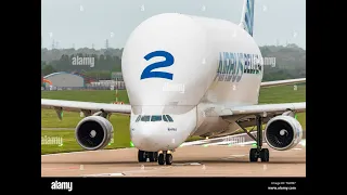 Airbus Beluga Hungry