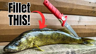 How to Fillet ANY Fish (SIMPLEST Method for BEGINNERS!)
