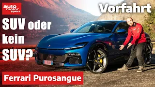 Ferrari Purosangue: Ein V12-Sportler als SUV getarnt? – Fahrbericht (Review) | auto motor und sport