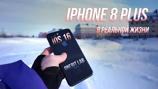 iPhone 8 Plus за 10к в Реальной Жизни в 2023 году