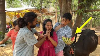 Gaay 🐄 ne maar diya on camera 😂 | Watermelon 🍉 challenge