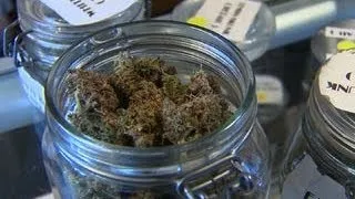 Marijuana tourism brings niche market to Denver