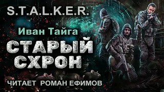 S.T.A.L.K.E.R. Старый схрон (аудиокнига). БОЕВАЯ ФАНТАСТИКА. Иван Тайга. Читает Роман Ефимов.