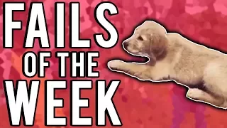 The Best Fails Of The Week August 2017 | Week 2 |  Part 2 | A Fail Compilation By FailUnited