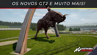 Assetto Corsa Competizione |  A NOVA DLC DOS GT2 CHEGOU!