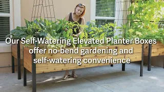Self-Watering Elevated Planter Boxes