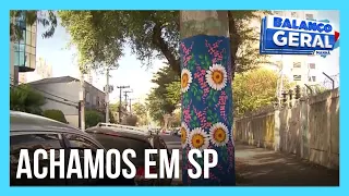 Achamos em São Paulo: Idosa pinta flores em postes e enfeita ruas da Mooca