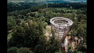 Avondale Forest Park | Tree Top Walk | Co. Wicklow | Ireland | 4K