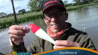 Programa 293 pescamos en Goya, Corrientes, Pinchamos Mostoros