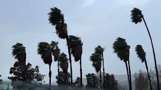 A Strong Storm System Hits San Jose, CA With Damaging Winds (2-4-‎2024)
