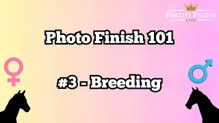 Photo Finish Live 101 - #3 Breeding