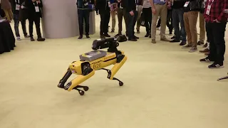 Boston Dynamics Spot Mini @ ICRA 2019