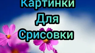 КАРТИНКИ ДЛЯ СРИСОВКИ (2часть)