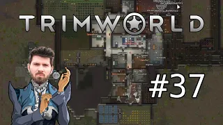 (T)RimWorld #37 mit Matteo