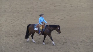 Judges Perspective Rookie Ranch Riding