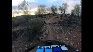 Alice Springs Single Trail "'Éagle 'Horse''