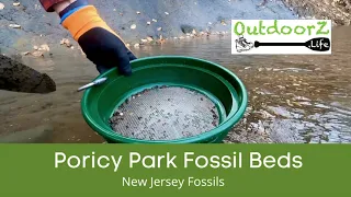 Poricy Park Fossil Beds 🦖 New Jersey Fossils