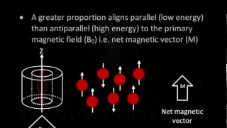 Introduction to MRI Physics