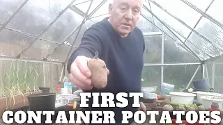 Grow Container Potatoes