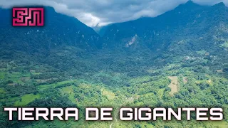 GIGANTES en la sierra de Veracruz