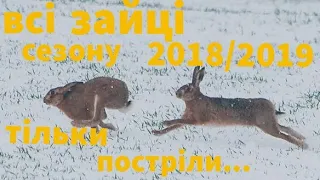 Полювання на зайця, всі зайці сезону. Тільки постріли. Багато зайця)