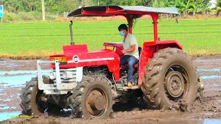 Siêu Phẩm Massey Ferguson 188 Trang Đất Ruộng Chạy Rất Khỏe, Thiện Vũ TV