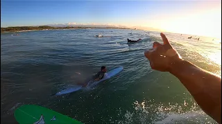 The Connection - The Movement Vibe ft. Lyrikal Buddah - POV longboard surfing - GoPro Hero8 - Hawaii