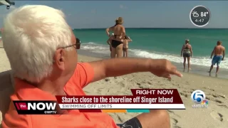 Sharks close to shoreline off Singer Island