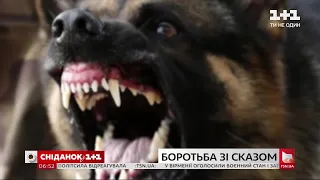 Всесвітній день боротьби зі сказом: що робити, якщо вас укусили, та чи нема проблем із вакциною