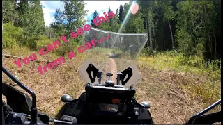 2022 Kawasaki KLR 650 Adventure (Success single track Payson Canyon part 1 )