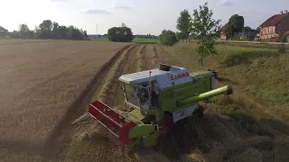 Żniwa 2019 W GR Januszewscy III Fendt,Zetor,Ursus Claas