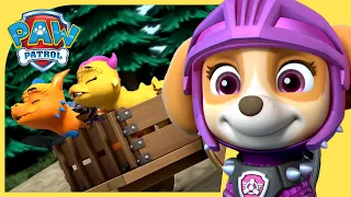 Pups Save the Princess & More Rescue Knights Missions 👑 | PAW Patrol Compilation + Cartoons for kids