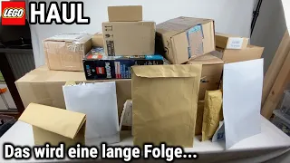 Ihr solltet die Gesichter meiner Nachbarn sehen 😅 | LEGO Haul (Teil 1)