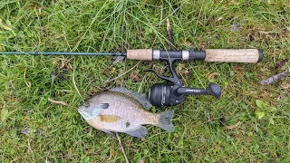 Is it worth it? Lews Underspin UltraLight Reel