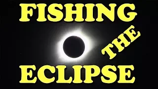 Did the Total Solar Eclipse 2017 Affect Fish Behavior?