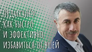 Педикулез: как быстро и эффективно избавиться от вшей