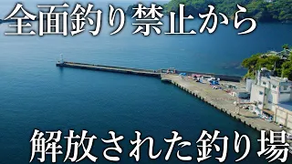 釣り禁止から解放された希少な堤防…ライセンス制の導入でファミリー釣り場に生まれ変わる