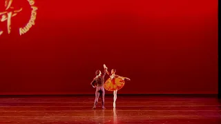 Ballet Pas De Deux - Don Quixote