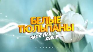 БЕЛЫЕ ТЮЛЬПАНЫ - ВЕСТНИКИ ЛЮБВИ / гр. SEVENROSE и Алевтина Бердникова / Версия 2023