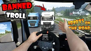 IDIOTS on the road #101 | IDIOT TROLL getting BANNED | Real Hands Funny moments - ETS2 Multiplayer