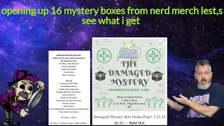 Curious What's Inside 16 Nerd Merch Mystery Boxes?