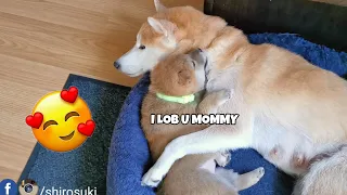 Mom Hugging Her Baby ❤️❤️  [CUTEST REACTION EVER]